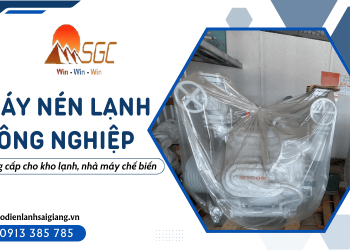 Máy nén lạnh công nghiệp hiệu suất cao cho kho lạnh, nhà máy chế biến