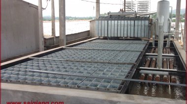 NHÀ MÁY NƯỚC ĐÁ CÂY 512 CÂY / 13h